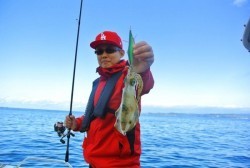 South Current 釣果