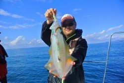 South Current 釣果