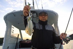 South Current 釣果