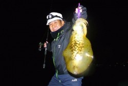 South Current 釣果