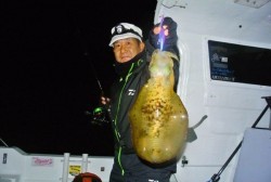 South Current 釣果