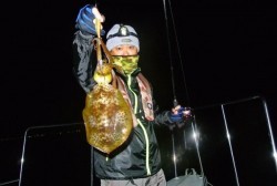 South Current 釣果