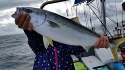 ワープゾーン 釣果