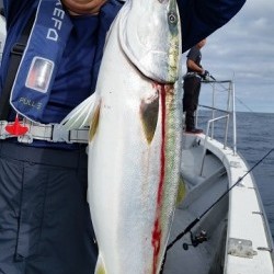 ワープゾーン 釣果