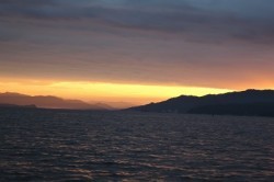 ワープゾーン 釣果