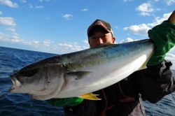 ワープゾーン 釣果