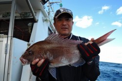 ワープゾーン 釣果