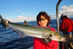 ワープゾーン 釣果