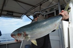 ワープゾーン 釣果