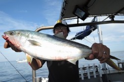 ワープゾーン 釣果