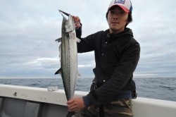 ワープゾーン 釣果