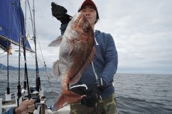 ワープゾーン 釣果