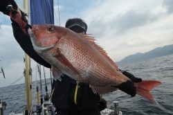 ワープゾーン 釣果