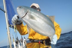 ワープゾーン 釣果