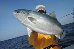 ワープゾーン 釣果