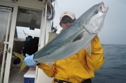 ワープゾーン 釣果