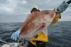 ワープゾーン 釣果