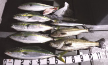 オーシャンスター(Ocean Star) …