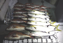 オーシャンスター(Ocean Star) …