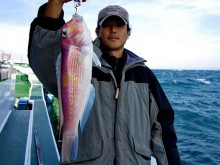 Big One　ビッグワン 釣果