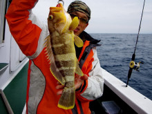 Big One　ビッグワン 釣果