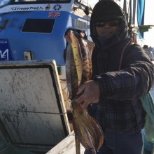 第八 源洋丸 釣果