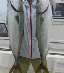 ＪＤＩ　Ｒａｃｉｎｇ　シールズマリンレジャー 釣果