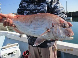 遊漁船 未紗奈 釣果