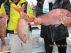 遊漁船 未紗奈 釣果