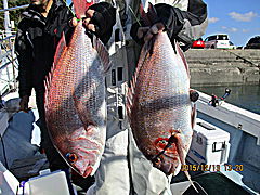 遊漁船 未紗奈 釣果