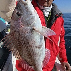 遊漁船 未紗奈 釣果