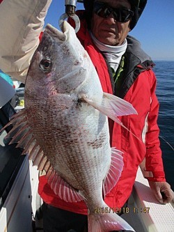 遊漁船 未紗奈 釣果