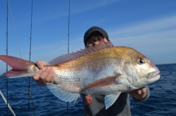 ジギング船 BLUEWATER 釣果