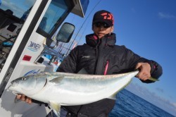 ジギング船 BLUEWATER 釣果