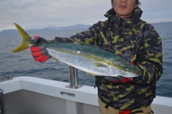 ジギング船 BLUEWATER 釣果