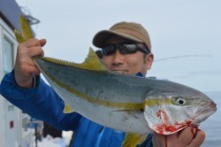 ジギング船 BLUEWATER 釣果