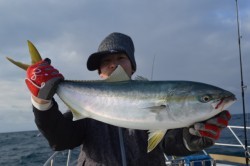 ジギング船 BLUEWATER 釣果