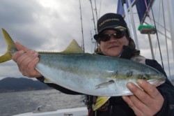 ジギング船 BLUEWATER 釣果