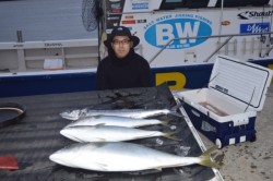 ジギング船 BLUEWATER 釣果