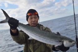 ジギング船 BLUEWATER 釣果