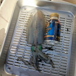 きびしい一日・・・