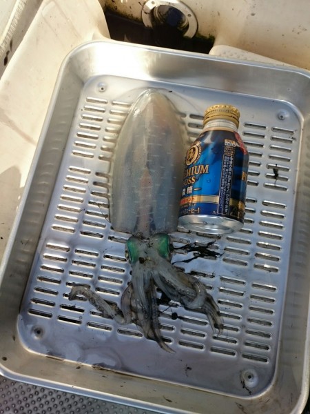 きびしい一日・・・