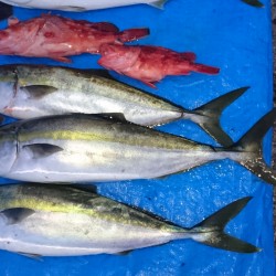 大吉丸ジギング