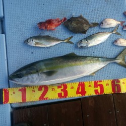 今年最大のメジロGET♪