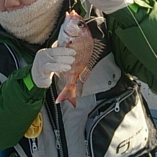 2015釣り納め～～