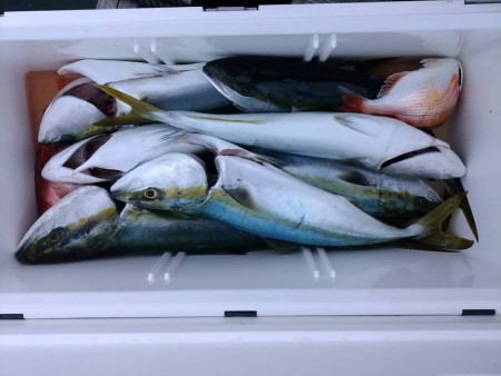 田曽沖～御座沖釣果報告