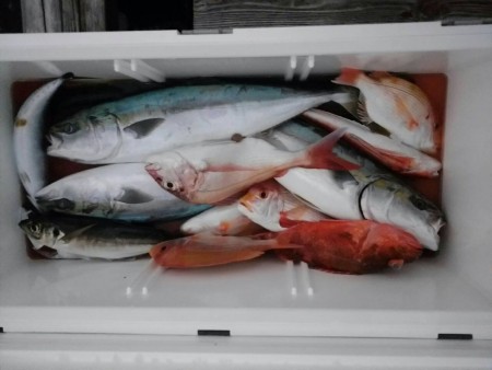 田曽沖80m～方座浦沖100m釣果報告(マイボート釣行)