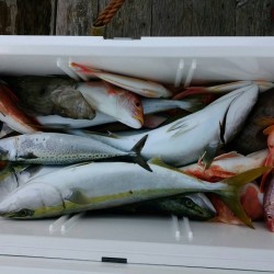 田曽沖～贄湾釣果報告(マイボート釣行)