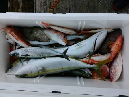 田曽沖～贄湾釣果報告(マイボート釣行)