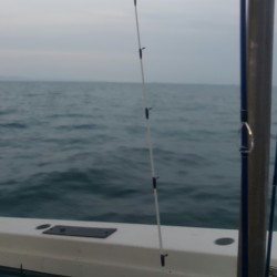 五目釣りで色々釣れました♪